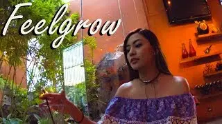 Visitando Feelgrow Restaurante en Monterrey Nuevo León