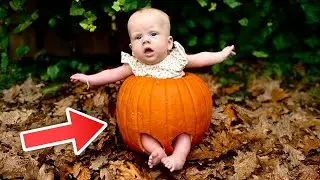Kato's eerste Halloween: D.I.Y Pompoen Kostuum!
