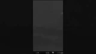 Охота с вышки