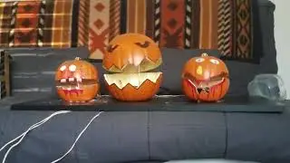 Animatronic singing pumpkins sing This is Halloween