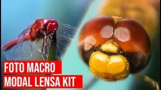 CARA MENGUBAH LENSA KIT MENJADI LENSA MAKRO/MACRO