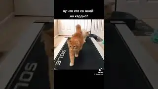 все на #кардио