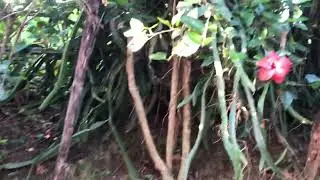 life in the Province