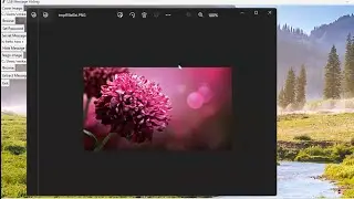 Image Steganography using LSB method with password production 