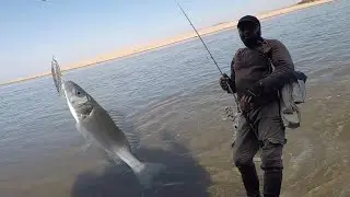 Topwater Sea Bass Fishing... Action and a very important tip