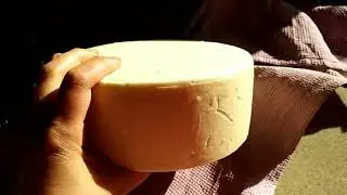 Продала часть коз. Варю сыры.