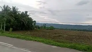 BUHAY PROBINSYA GALA SA FARM