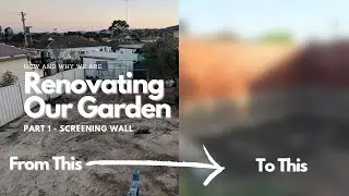 How and why we renovated our garden Episode 1.