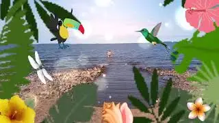 SUPIR KOOL VAKATION ANTARCTICA AESTHETIC RILAX/ HOT SAMIR VAKATION ( VARI KOLD ) 🦜🦜🤤🤤🦚🦚🦚🌴🌴🦩🦩🐧🦩🧊🧊☀️☀️