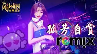 杨小壮 - 孤芳自赏【DJ REMIX 舞曲】Ft. K9win 抖音热爆