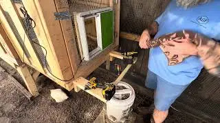 Chicken coop improvements - adding a perch and improved stair steps