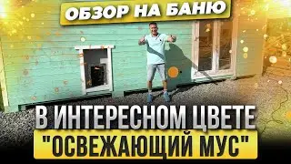 Обзор на баню 2.4 х 6 м в цвете 