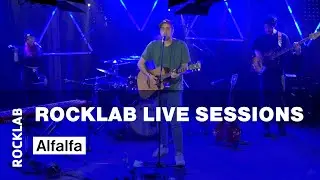 Rocklab Live Sessions - Alfalfa