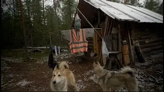 Живем в тайге 2. Питаемся добытым , ловим  медведя хулигана. Добыли ....