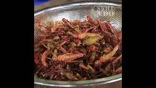 Grasshopping meal