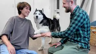 Funny Reaction of my Dogs and Cats to the Viral Trend "Hands In"