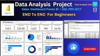 Power BI & SQL Server I Data Analysis Portfolio I End To End I Beginner To Expert