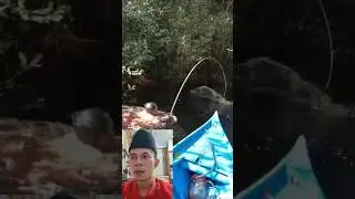 Mancing sampe Kebawa orang2 nya 😱😱😱 #trending #viral #shorts