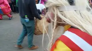 Huanquillas de chiclin 2017