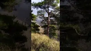 Орлиные скалы Сочи 16 декабря 2020 г.