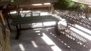 коты воители монастырское племя 6 серия 1 сезон 2 мин!!!