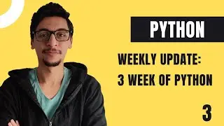 Weekly Update: 3 Weeks of Learning Python | Beginner