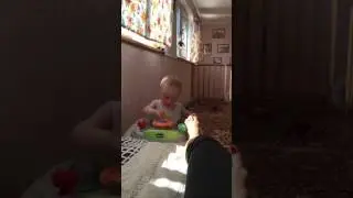 Ходунки chicco. Слюни рекой