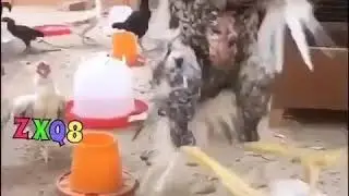 Вот это удар