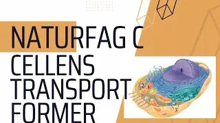 Cellens transportformer