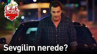 Sevgilim Nerede? - Çilek Kokusu