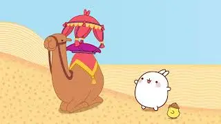 Molang - The Camel | Compilation For Kids