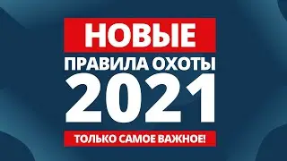 Новые правила охоты 2021: главные изменения в правилах охоты, обсуждение с экспертом-охотоведом