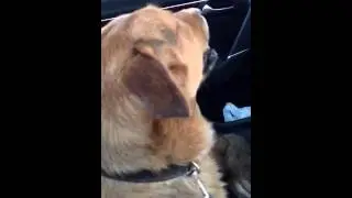 На