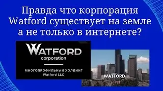 Watford LLC - знакомство с американским холдингом