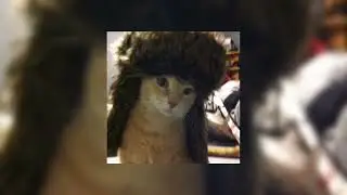 🤎 музыка для флешмоба 🐱