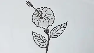 How to Draw a Hibiscus Flower For Beginners || Easy Drawing | Step by Step - Farhana Drawing