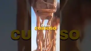 DATO CURIOSO de GODZILLA x KONG THE NEW EMPIRE! - Godzilla vs Scyilla | 