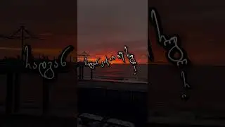 მიამიტებს...