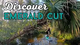 Paddling Rock Springs Run from King's Landing in Apopka Florida
