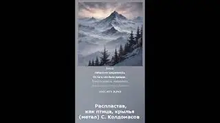 Распластав, как птица крылья... (С. Колдомасов) (метал баллада)