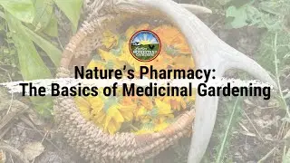 Nature's Pharmacy-The Basics of Medicinal Gardening: March 2024 National Virtual Gathering