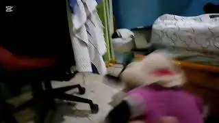 Plush fight test