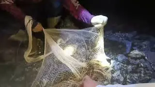 Fishing in the sea with captain Hairullah One Fish