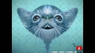 Preview 2 Numa Cat 2022 V1.5 Effects