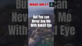 Hardest Riddle #riddle #shorts