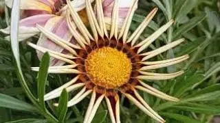 XXL XXL XXL XXL FREESTYLE 2024 |XXL 2024 | Xxwd5000xa | XXL XXL XXL XXL FREESTYLE