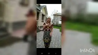 Урис кизи атласда
