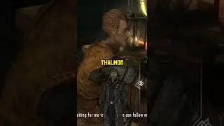 🐱 Hidden Quest Related to the Thalmor in Skyrim 