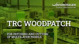 Fully automatic combined plant for patching and cutting multilayer panels | WINTERSTEIGER