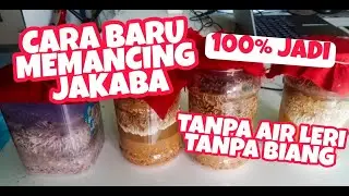 A New Way To Bring Up JAKABA Without Leri Water Without a Prickly 100% Successful